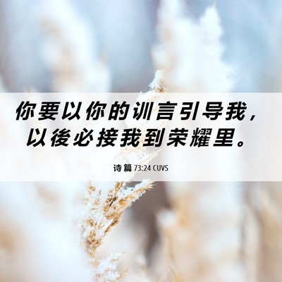 Picture 06 - 诗 篇 73:24 CUVS - 你 要 以 你 的 训 言 引 导 我 ， 以 - Bible Verse Picture