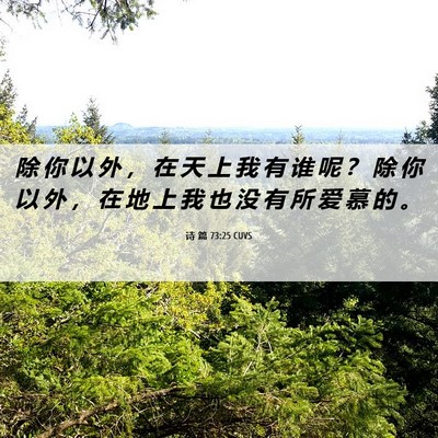 Picture 06 - 诗 篇 73:25 CUVS - 除 你 以 外 ， 在 天 上 我 有 谁 呢 - Bible Verse Picture