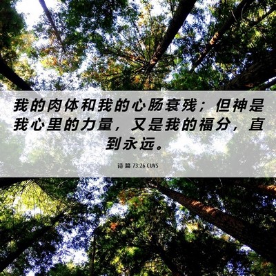 Picture 06 - 诗 篇 73:26 CUVS - 我 的 肉 体 和 我 的 心 肠 衰 残 ； - Bible Verse Picture