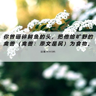 Picture 06 - 诗 篇 74:14 CUVS - 你 曾 砸 碎 鳄 鱼 的 头 ， 把 他 给 - Bible Verse Picture