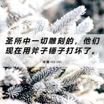 Picture 06 - 诗 篇 74:6 CUVS - 圣 所 中 一 切 雕 刻 的 ， 他 们 现 - Bible Verse Picture