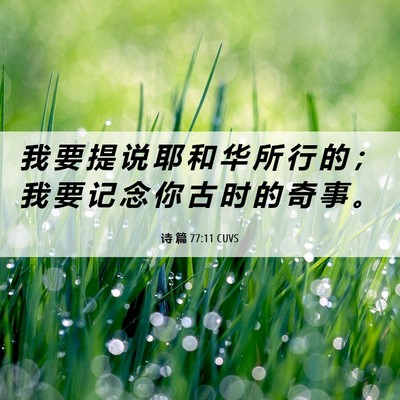 Picture 06 - 诗 篇 77:11 CUVS - 我 要 提 说 耶 和 华 所 行 的 ； 我 - Bible Verse Picture