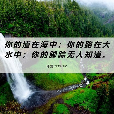 Picture 06 - 诗 篇 77:19 CUVS - 你 的 道 在 海 中 ； 你 的 路 在 大 - Bible Verse Picture