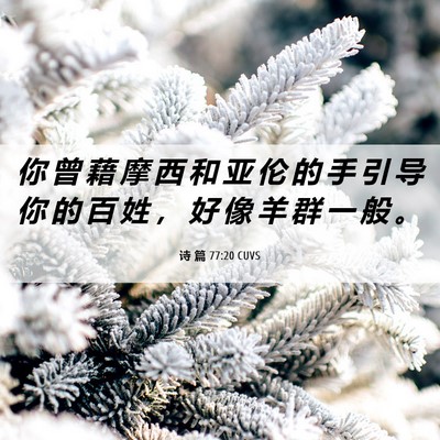 Picture 06 - 诗 篇 77:20 CUVS - 你 曾 藉 摩 西 和 亚 伦 的 手 引 导 - Bible Verse Picture