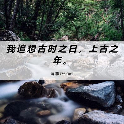 Picture 06 - 诗 篇 77:5 CUVS - 我 追 想 古 时 之 日 ， 上 古 之 年 - Bible Verse Picture