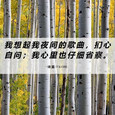 Picture 06 - 诗 篇 77:6 CUVS - 我 想 起 我 夜 间 的 歌 曲 ， 扪 心 - Bible Verse Picture