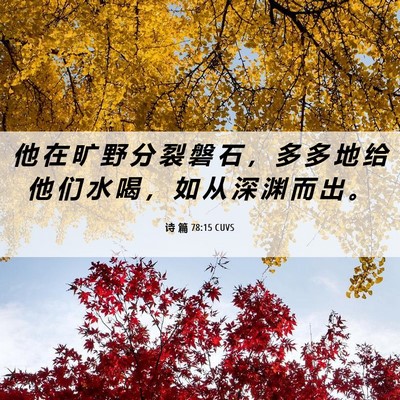 Picture 06 - 诗 篇 78:15 CUVS - 他 在 旷 野 分 裂 磐 石 ， 多 多 地 - Bible Verse Picture