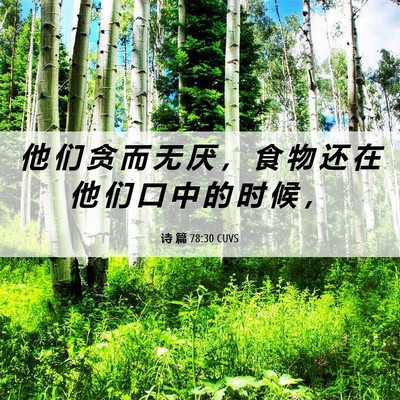 Picture 06 - 诗 篇 78:30 CUVS - 他 们 贪 而 无 厌 ， 食 物 还 在 他 - Bible Verse Picture