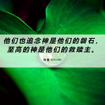 Picture 06 - 诗 篇 78:35 CUVS - 他 们 也 追 念 神 是 他 们 的 磐 石 - Bible Verse Picture