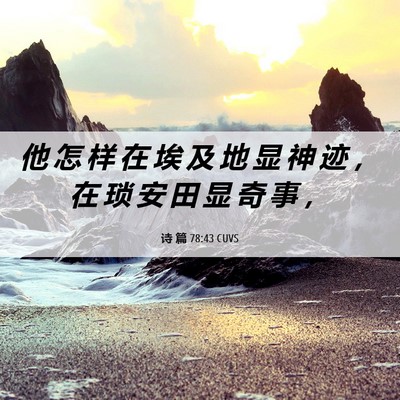 Picture 06 - 诗 篇 78:43 CUVS - 他 怎 样 在 埃 及 地 显 神 迹 ， 在 - Bible Verse Picture