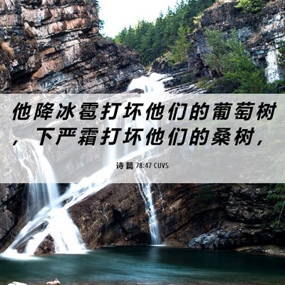 Picture 06 - 诗 篇 78:47 CUVS - 他 降 冰 雹 打 坏 他 们 的 葡 萄 树 - Bible Verse Picture