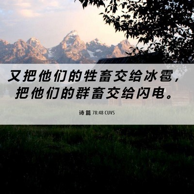 Picture 06 - 诗 篇 78:48 CUVS - 又 把 他 们 的 牲 畜 交 给 冰 雹 ， - Bible Verse Picture