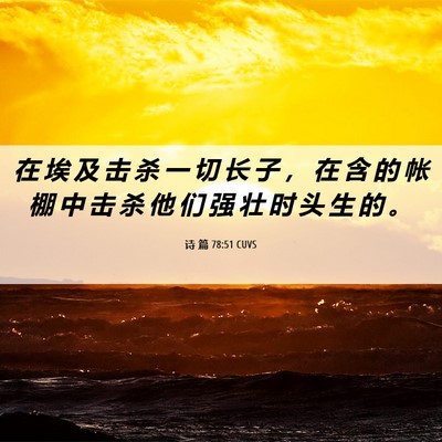 Picture 06 - 诗 篇 78:51 CUVS - 在 埃 及 击 杀 一 切 长 子 ， 在 含 - Bible Verse Picture