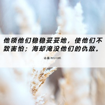 Picture 06 - 诗 篇 78:53 CUVS - 他 领 他 们 稳 稳 妥 妥 地 ， 使 他 - Bible Verse Picture