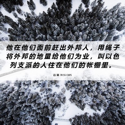 Picture 06 - 诗 篇 78:55 CUVS - 他 在 他 们 面 前 赶 出 外 邦 人 ， - Bible Verse Picture