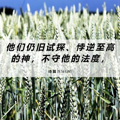 Picture 06 - 诗 篇 78:56 CUVS - 他 们 仍 旧 试 探 、 悖 逆 至 高 的 - Bible Verse Picture