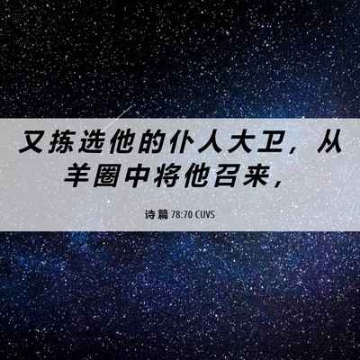 Picture 06 - 诗 篇 78:70 CUVS - 又 拣 选 他 的 仆 人 大 卫 ， 从 羊 - Bible Verse Picture