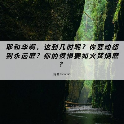 Picture 06 - 诗 篇 79:5 CUVS - 耶 和 华 啊 ， 这 到 几 时 呢 ？ 你 - Bible Verse Picture