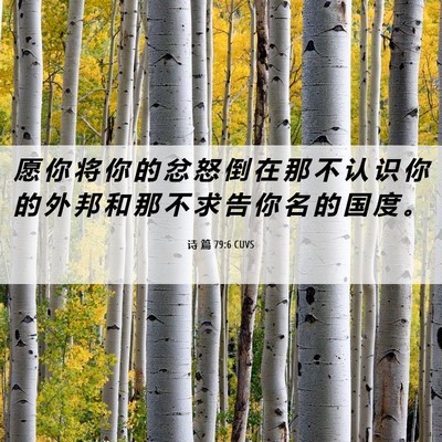 Picture 06 - 诗 篇 79:6 CUVS - 愿 你 将 你 的 忿 怒 倒 在 那 不 认 - Bible Verse Picture