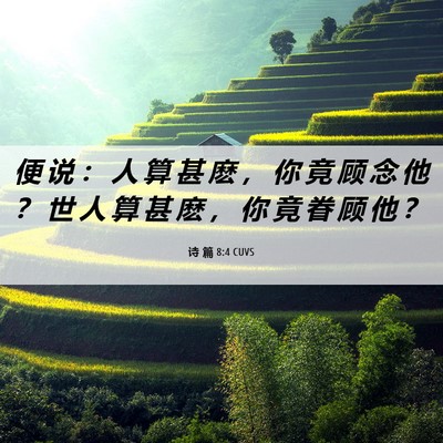 Picture 06 - 诗 篇 8:4 CUVS - 便 说 ： 人 算 甚 麽 ， 你 竟 顾 念 - Bible Verse Picture