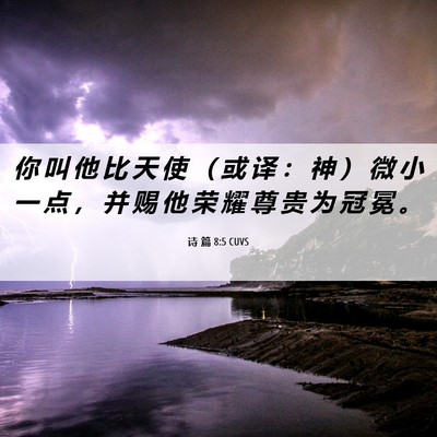 Picture 06 - 诗 篇 8:5 CUVS - 你 叫 他 比 天 使 （ 或 译 ： 神 ） - Bible Verse Picture