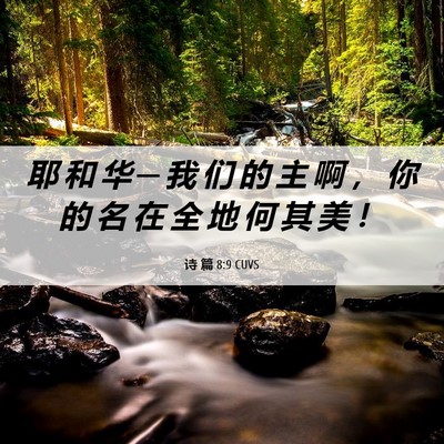 Picture 06 - 诗 篇 8:9 CUVS - 耶 和 华 ─ 我 们 的 主 啊 ， 你 的 - Bible Verse Picture