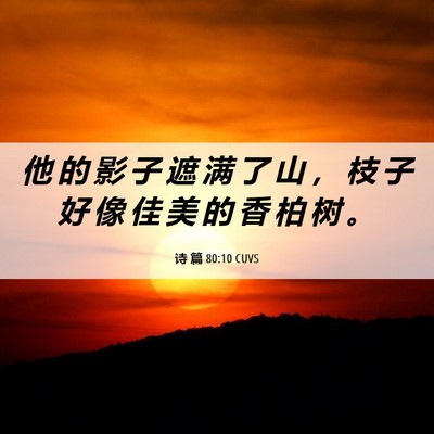 Picture 06 - 诗 篇 80:10 CUVS - 他 的 影 子 遮 满 了 山 ， 枝 子 好 - Bible Verse Picture