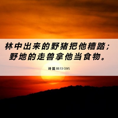 Picture 06 - 诗 篇 80:13 CUVS - 林 中 出 来 的 野 猪 把 他 糟 踏 ； - Bible Verse Picture