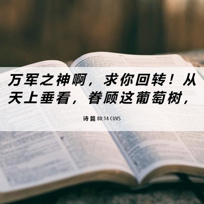 Picture 06 - 诗 篇 80:14 CUVS - 万 军 之 神 啊 ， 求 你 回 转 ！ 从 - Bible Verse Picture