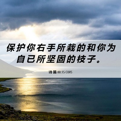Picture 06 - 诗 篇 80:15 CUVS - 保 护 你 右 手 所 栽 的 和 你 为 自 - Bible Verse Picture