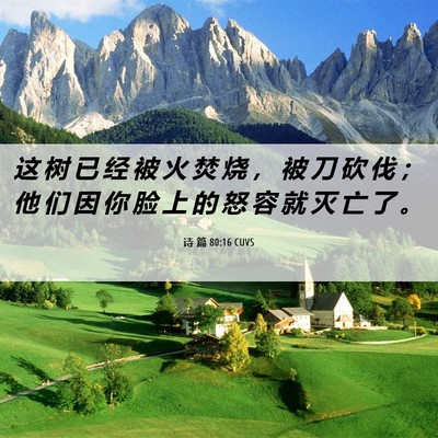 Picture 06 - 诗 篇 80:16 CUVS - 这 树 已 经 被 火 焚 烧 ， 被 刀 砍 - Bible Verse Picture
