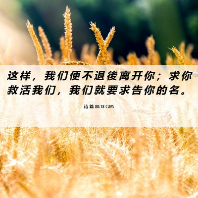 Picture 06 - 诗 篇 80:18 CUVS - 这 样 ， 我 们 便 不 退 後 离 开 你 - Bible Verse Picture