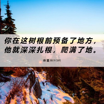 Picture 06 - 诗 篇 80:9 CUVS - 你 在 这 树 根 前 预 备 了 地 方 ， - Bible Verse Picture