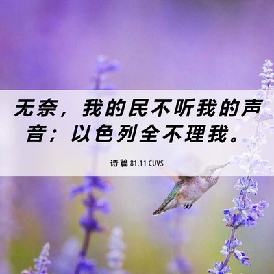 Picture 06 - 诗 篇 81:11 CUVS - 无 奈 ， 我 的 民 不 听 我 的 声 音 - Bible Verse Picture