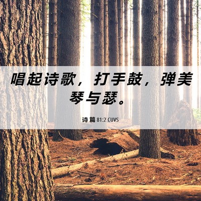 Picture 06 - 诗 篇 81:2 CUVS - 唱 起 诗 歌 ， 打 手 鼓 ， 弹 美 琴 - Bible Verse Picture