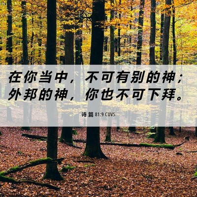 Picture 06 - 诗 篇 81:9 CUVS - 在 你 当 中 ， 不 可 有 别 的 神 ； - Bible Verse Picture