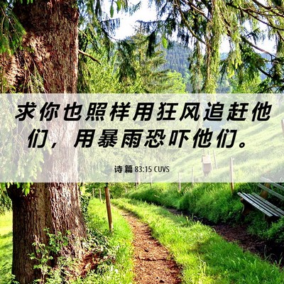 Picture 06 - 诗 篇 83:15 CUVS - 求 你 也 照 样 用 狂 风 追 赶 他 们 - Bible Verse Picture