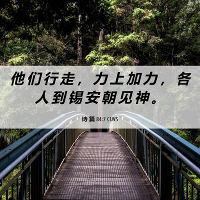 Picture 06 - 诗 篇 84:7 CUVS - 他 们 行 走 ， 力 上 加 力 ， 各 人 - Bible Verse Picture
