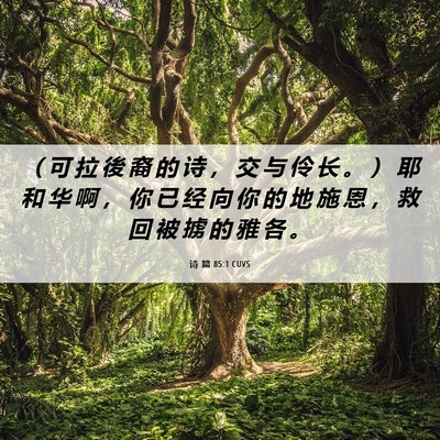 Picture 06 - 诗 篇 85:1 CUVS - （ 可 拉 後 裔 的 诗 ， 交 与 伶 长 - Bible Verse Picture
