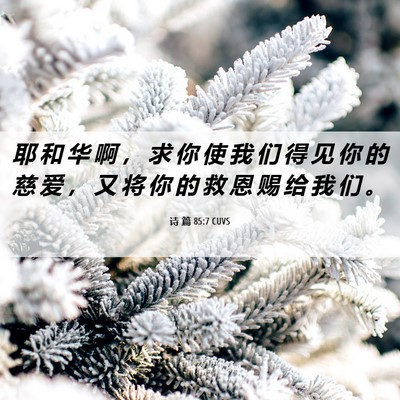 Picture 06 - 诗 篇 85:7 CUVS - 耶 和 华 啊 ， 求 你 使 我 们 得 见 - Bible Verse Picture