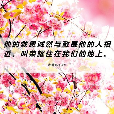 Picture 06 - 诗 篇 85:9 CUVS - 他 的 救 恩 诚 然 与 敬 畏 他 的 人 - Bible Verse Picture