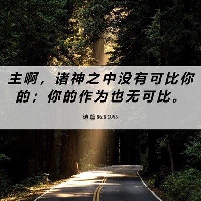Picture 06 - 诗 篇 86:8 CUVS - 主 啊 ， 诸 神 之 中 没 有 可 比 你 - Bible Verse Picture