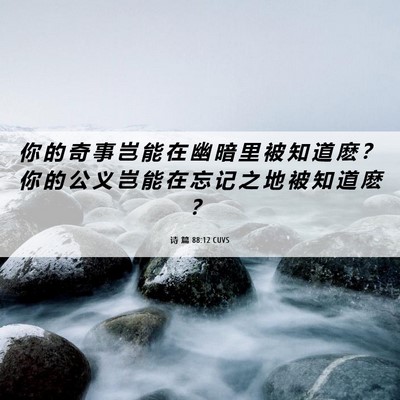 Picture 06 - 诗 篇 88:12 CUVS - 你 的 奇 事 岂 能 在 幽 暗 里 被 知 - Bible Verse Picture