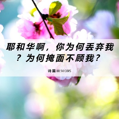 Picture 06 - 诗 篇 88:14 CUVS - 耶 和 华 啊 ， 你 为 何 丢 弃 我 ？ - Bible Verse Picture