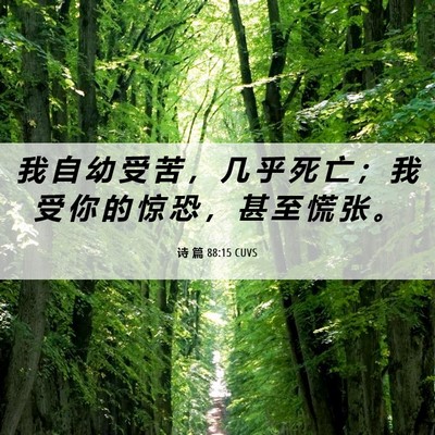 Picture 06 - 诗 篇 88:15 CUVS - 我 自 幼 受 苦 ， 几 乎 死 亡 ； 我 - Bible Verse Picture