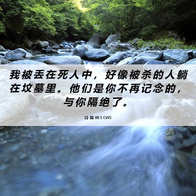 Picture 06 - 诗 篇 88:5 CUVS - 我 被 丢 在 死 人 中 ， 好 像 被 杀 - Bible Verse Picture