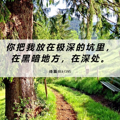 Picture 06 - 诗 篇 88:6 CUVS - 你 把 我 放 在 极 深 的 坑 里 ， 在 - Bible Verse Picture