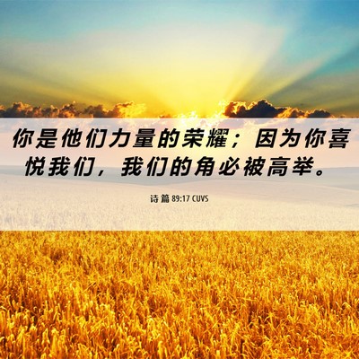 Picture 06 - 诗 篇 89:17 CUVS - 你 是 他 们 力 量 的 荣 耀 ； 因 为 - Bible Verse Picture