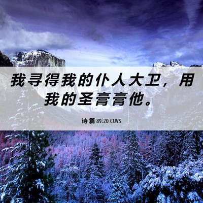 Picture 06 - 诗 篇 89:20 CUVS - 我 寻 得 我 的 仆 人 大 卫 ， 用 我 - Bible Verse Picture
