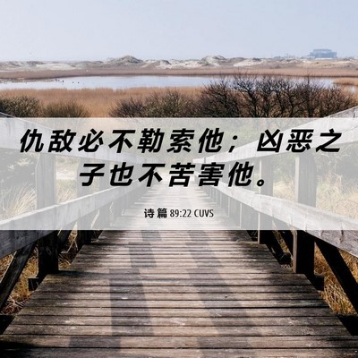 Picture 06 - 诗 篇 89:22 CUVS - 仇 敌 必 不 勒 索 他 ； 凶 恶 之 子 - Bible Verse Picture